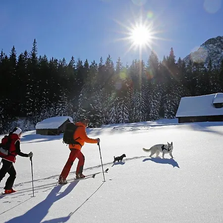 Holiday Almdorf Im Murtal - Osm03100e-fyc 別荘 *